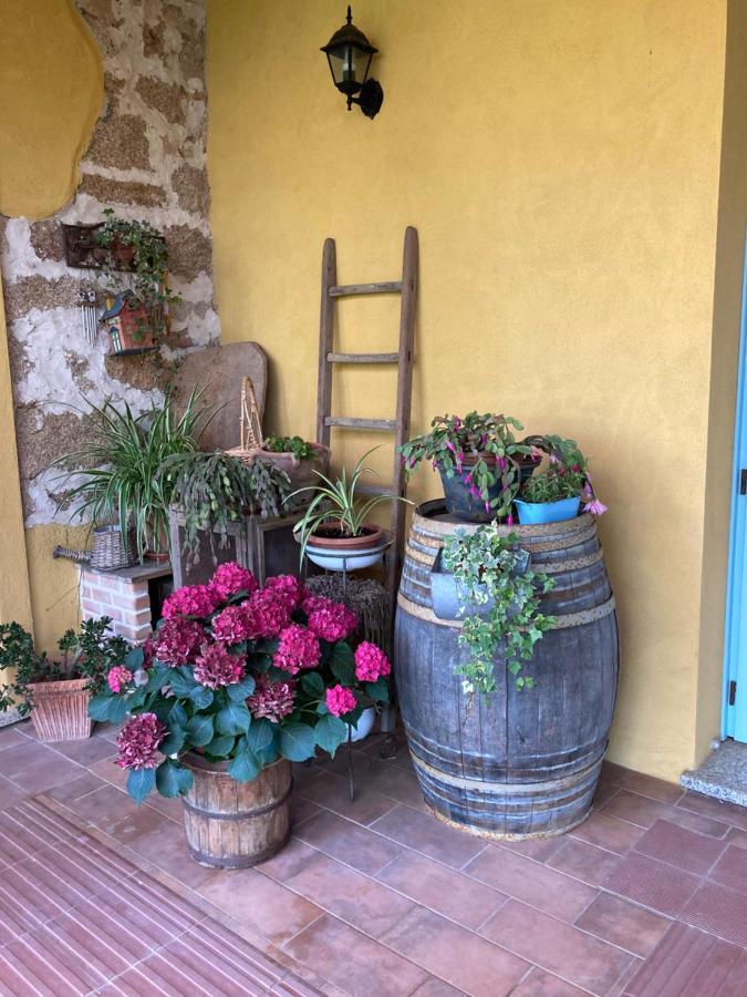 Gonnosfanàdiga Agriturismo Is Conchisceddas מראה חיצוני תמונה