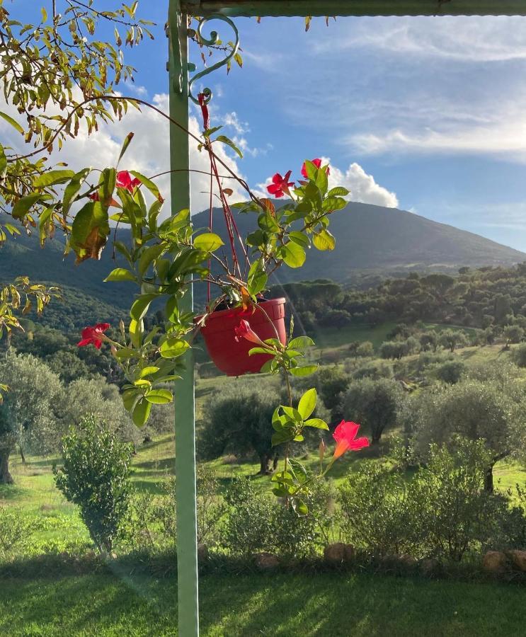 Gonnosfanàdiga Agriturismo Is Conchisceddas מראה חיצוני תמונה